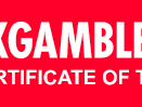 Evolution partner logo