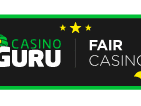 Visa partner logo